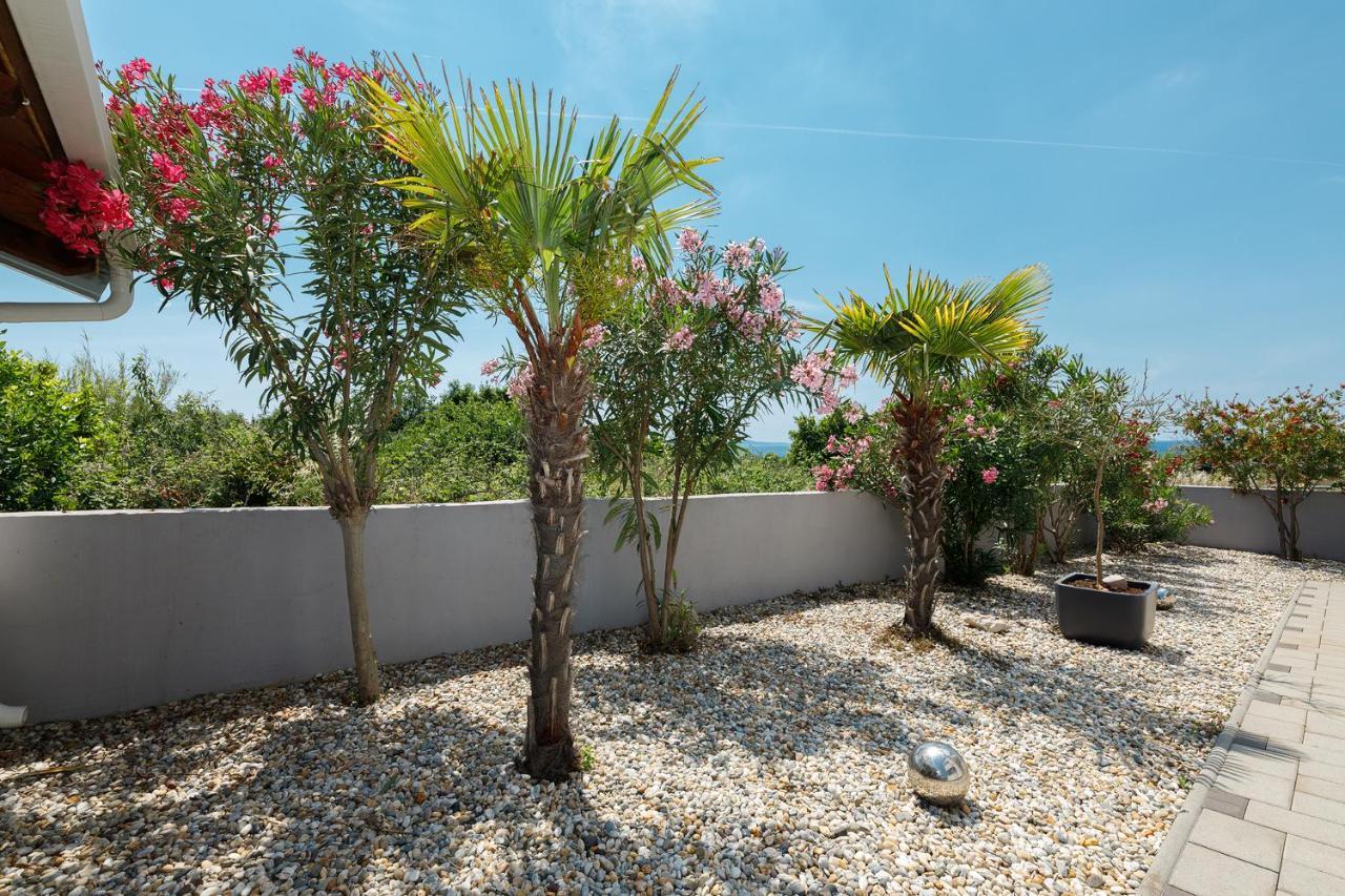 Malo Ferienvilla Privlaka, Pool, Boje, Wi-Fi, Wallbox Privlaka  Exteriér fotografie